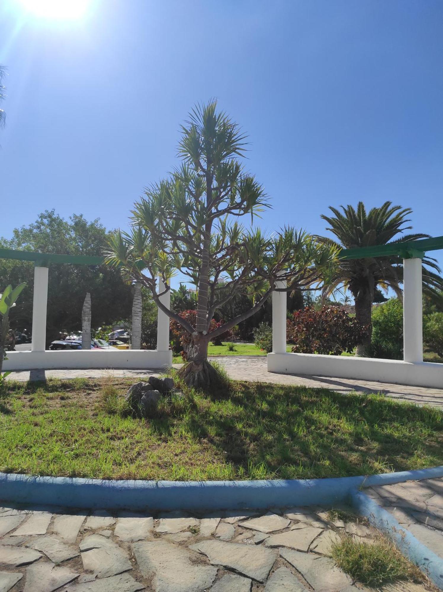Maria Luxury Golf Del Sur Tenerife Apartament San Miguel de Abona